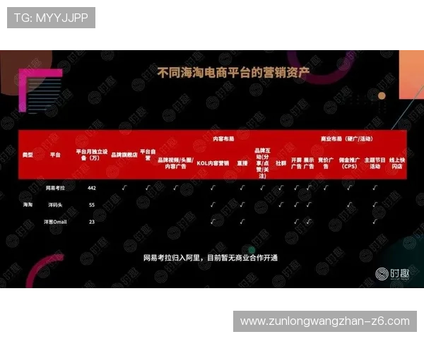 尊龙会官网会员登录网址详细介绍，解决用户登录难题及账号安全保障措施