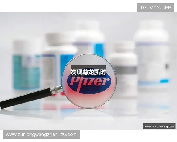 尊龙凯时滚球盘平台优势与特色功能全面解析提升用户体验