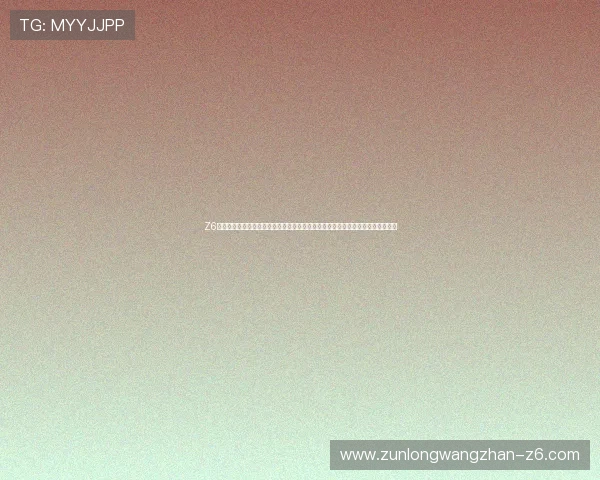 Z6尊龙旗舰厅登录线路的详细介绍与使用指南,帮助新手玩家快速上手安全登录流程
